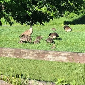Meet your Posher, Alberto